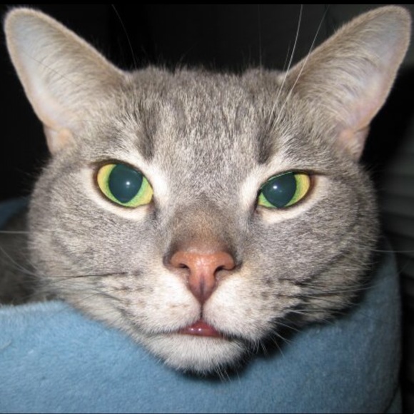 Thank you for the last five years! - Picture 9 of 16